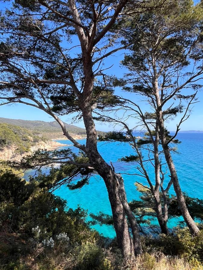 L'Arbousier Bed & Breakfast Rayol-Canadel-sur-Mer Exterior photo